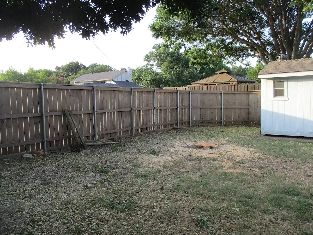 Cleared yard after professional tree removal in Tunnelton